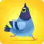 Pigeon Pop